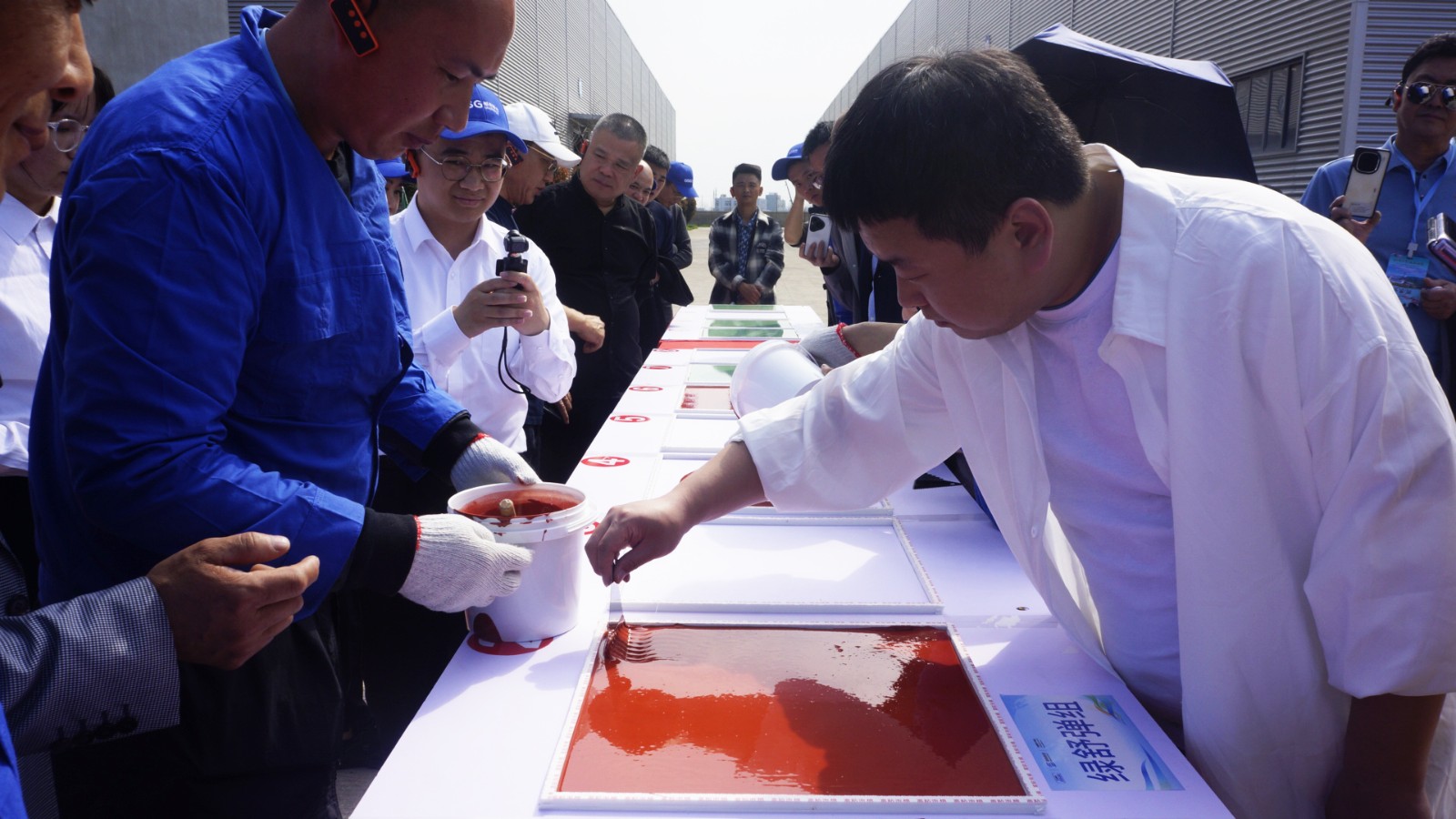 _DSC7877_看圖王 _DSC7877_看圖王